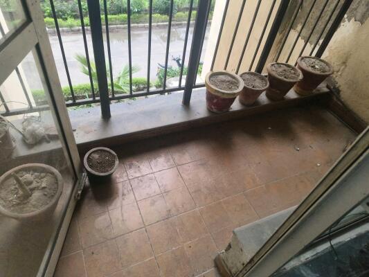 3 BHK Flat in Sector 134, Noida