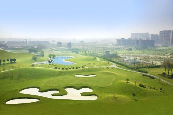 3 BHK Flat in Sector 131, Noida