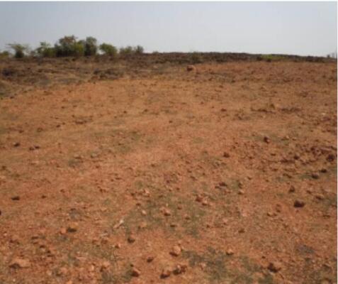 Residential land / Plot in Uran, Navi Mumbai