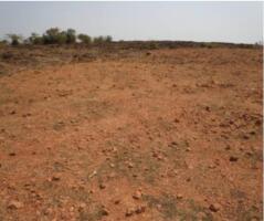 Residential land / Plot in Uran, Navi Mumbai