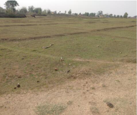 Residential land / Plot in Uran, Navi Mumbai