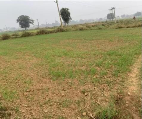 Residential land / Plot in Uran, Navi Mumbai