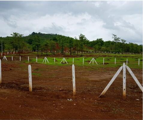 Residential land / Plot in Uran, Navi Mumbai