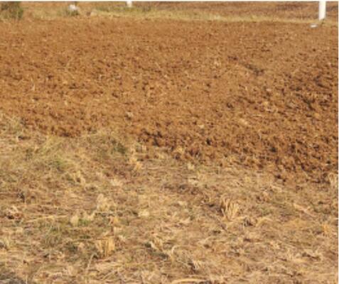 Residential land / Plot in Uran, Navi Mumbai