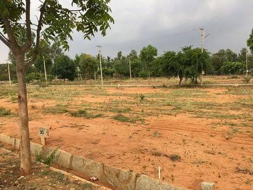 Residential land / Plot in Barsana, Mathura