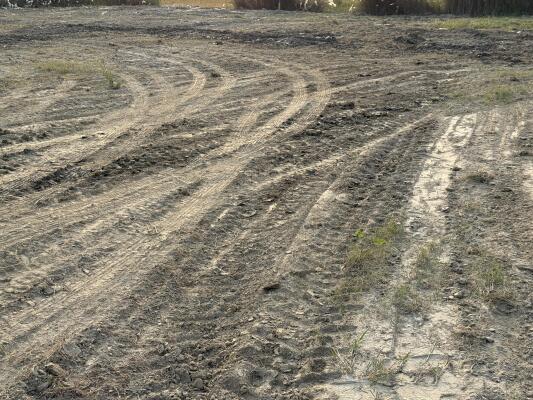 Residential land / Plot in Sobhan, Darbhanga