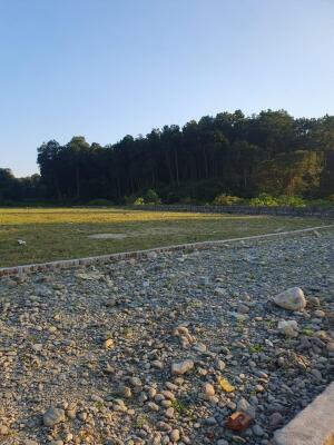 Residential land / Plot in Badowala, Dehradun