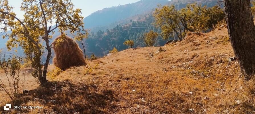 Residential land / Plot in Chamba, New Tehri