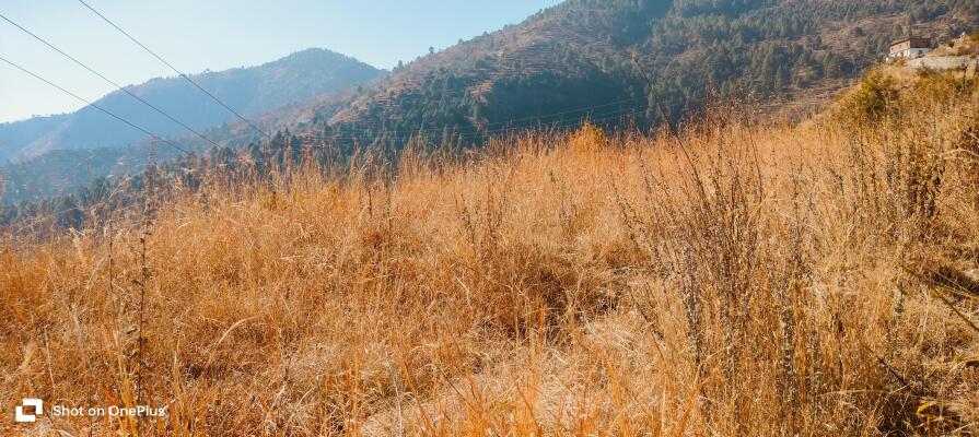 Residential land / Plot in Chamba, New Tehri