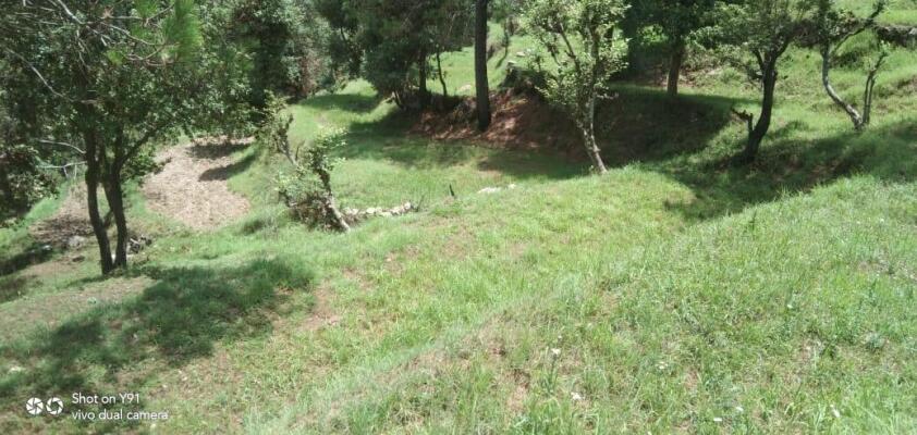 Residential land / Plot in Chamba, New Tehri