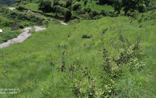 Residential land / Plot in Chamba, New Tehri
