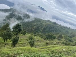 Residential land / Plot in Chamba, New Tehri
