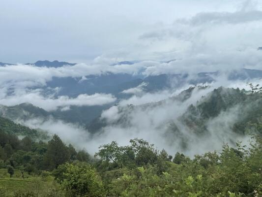 Residential land / Plot in Chamba, New Tehri