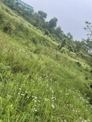 Residential land / Plot in Chamba, New Tehri