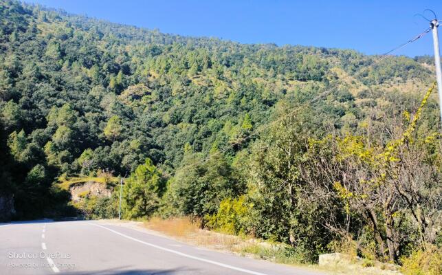 Residential land / Plot in Chamba, New Tehri