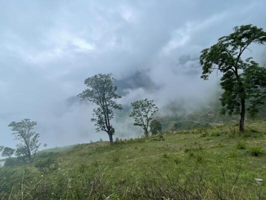 Residential land / Plot in Chamba, New Tehri