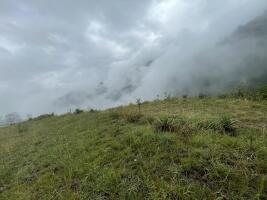 Residential land / Plot in Chamba, New Tehri