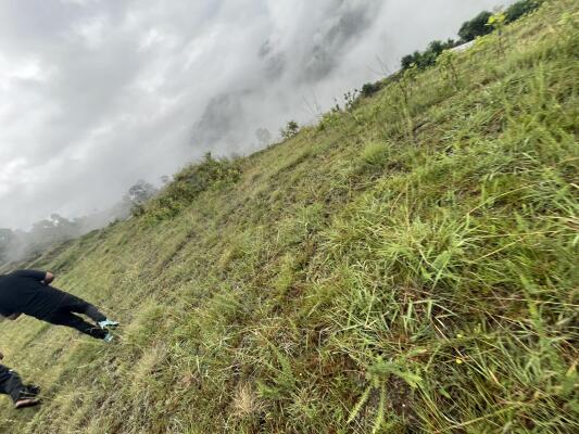Residential land / Plot in Chamba, New Tehri