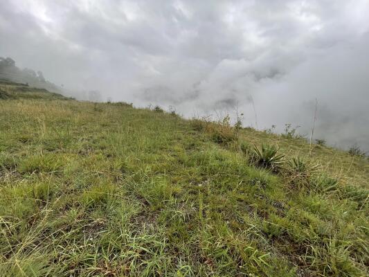 Residential land / Plot in Chamba, New Tehri