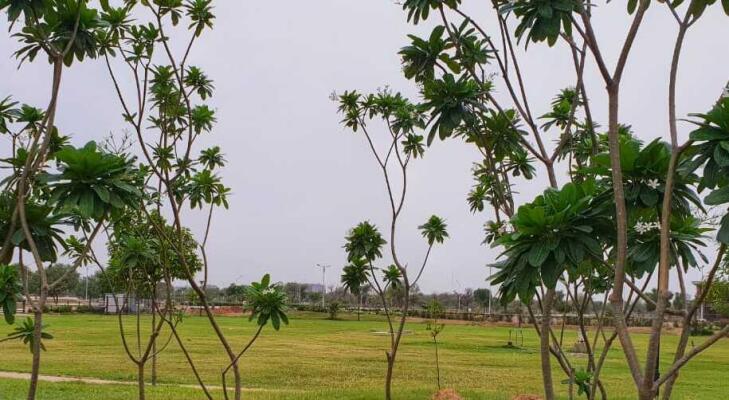Residential land / Plot in Ajmer Road, Jaipur