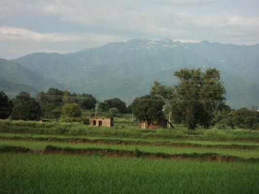Residential land / Plot in Sector 26 Panchkula