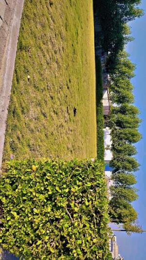 Residential land / Plot in Kamal Vihar, Raipur