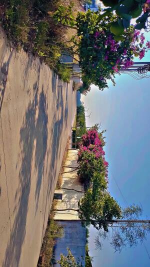 Residential land / Plot in Kamal Vihar, Raipur