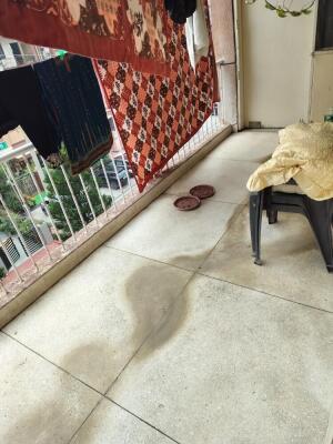 3 BHK Flat in Sector 61, Noida