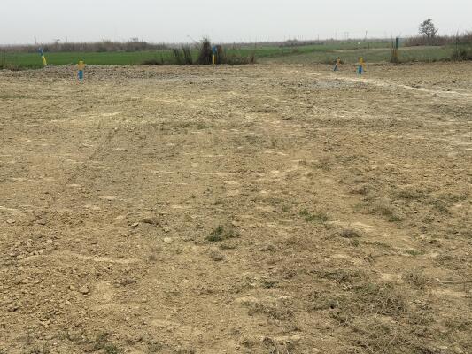Residential land / Plot in Sobhan, Darbhanga