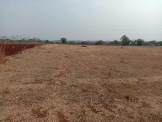 Residential land / Plot in Chirle, Navi Mumbai
