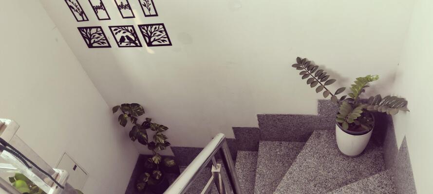 3 BHK Independent Builder Floor in West Patel Nagar, Delhi