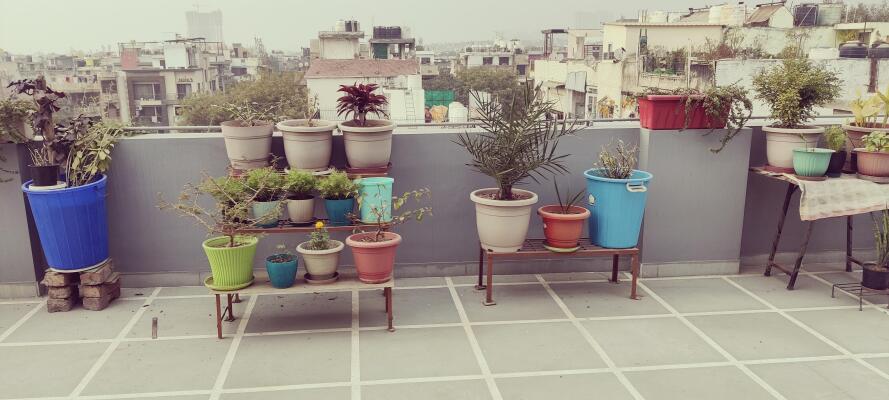 3 BHK Independent Builder Floor in West Patel Nagar, Delhi
