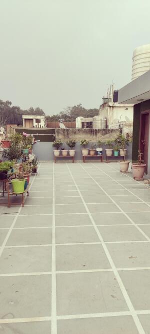 3 BHK Independent Builder Floor in West Patel Nagar, Delhi