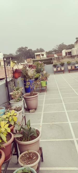 3 BHK Independent Builder Floor in West Patel Nagar, Delhi