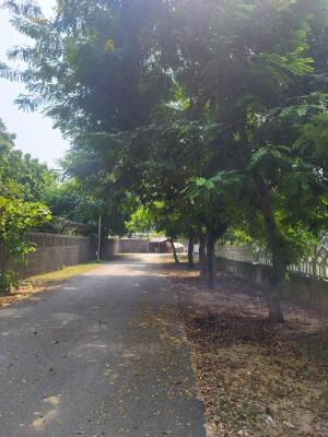 Residential land / Plot in Delta 3, Greater Noida
