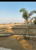 Residential land / Plot in Dongargaon, Nagpur