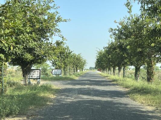 Residential land / Plot in Sector-16 Yamuna Expressway, Greater Noida