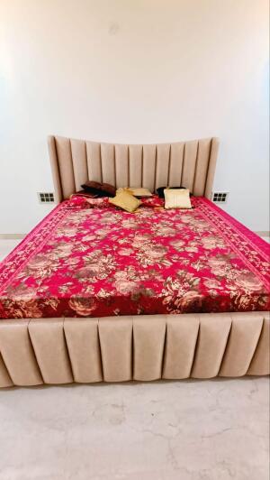 3 BHK Independent Builder Floor in Ashok Vihar, Delhi