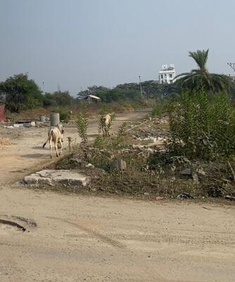 Residential land / Plot in Action Area 3, New Town