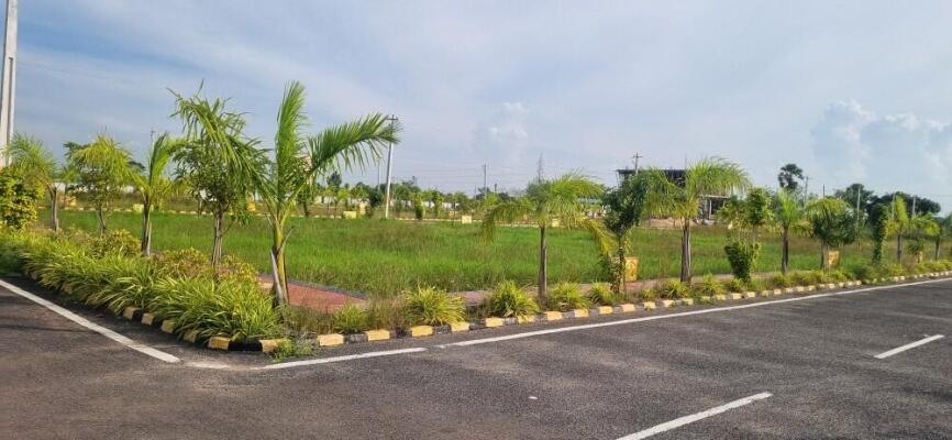 Residential land / Plot in Kothapet, Guntur