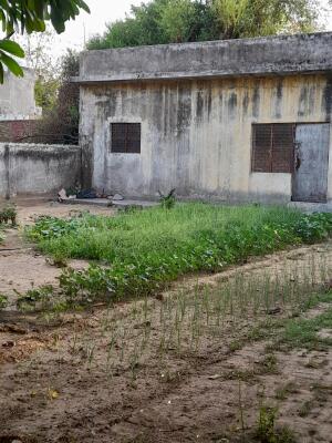 Residential land / Plot in Sigma 1, Greater Noida