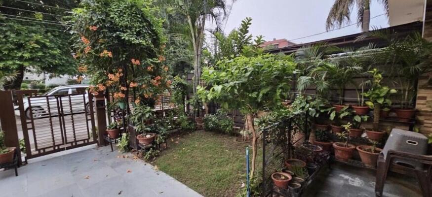 6 Bedroom House in Sector 34 Chandigarh