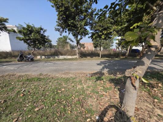 Residential land / Plot in New Moradabad