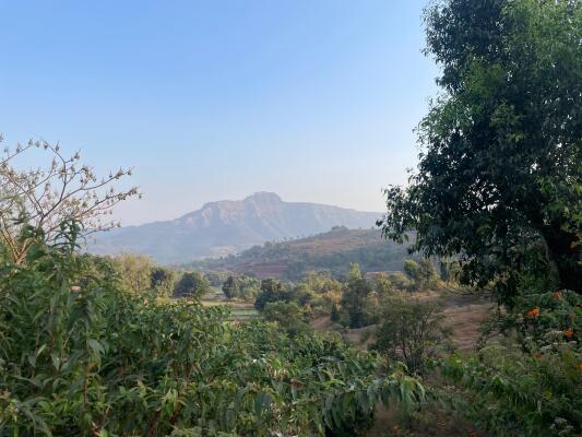Residential land / Plot in Velhe, Pune