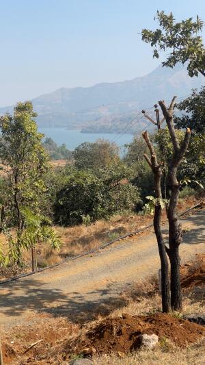 Residential land / Plot in Velhe, Pune