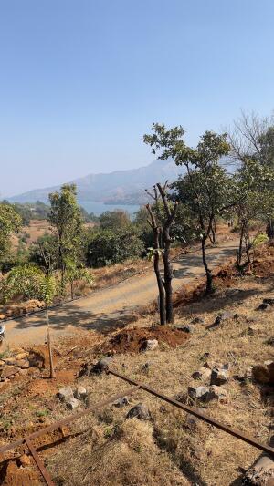 Residential land / Plot in Velhe, Pune