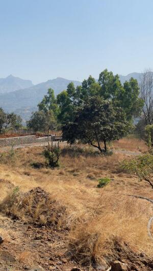 Residential land / Plot in Velhe, Pune