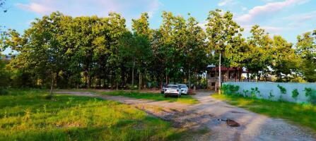 Residential land / Plot in Selakui, Dehradun