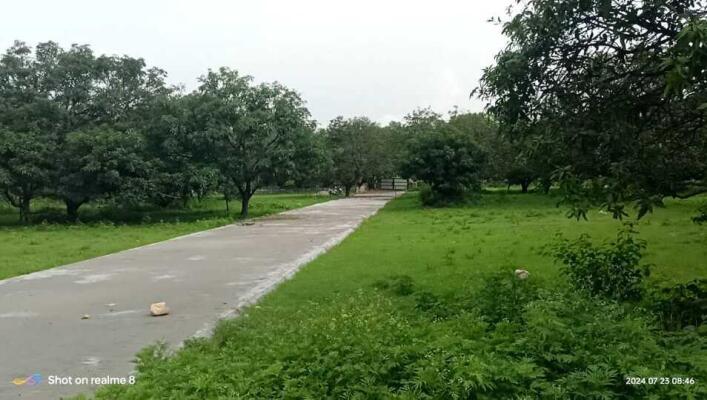 Residential land / Plot in Selakui, Dehradun