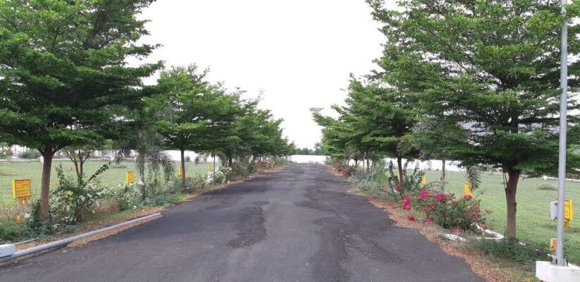 Residential land / Plot in Ponnekallu, Guntur
